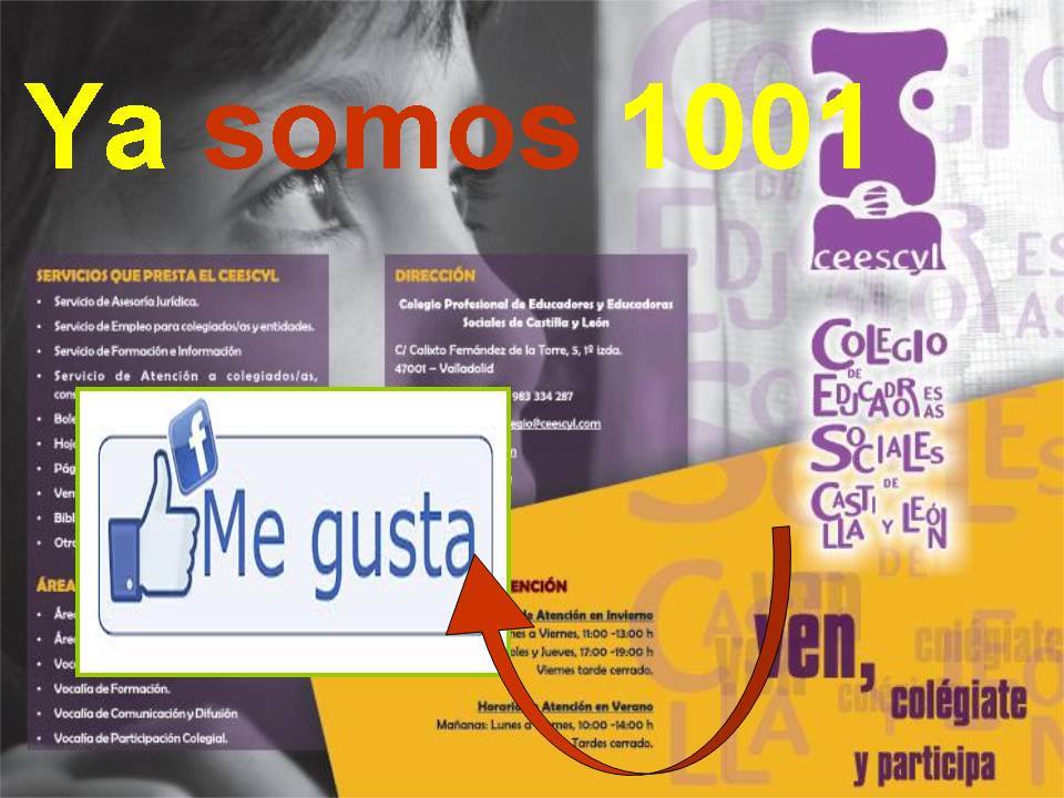 1001 me gusta facebook CEESCYL