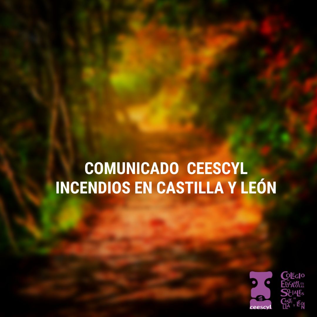 COMUNICADO DEL CEESCYL SOBRE LOS INCENDIOS ACTIVOS EN LA COMUNIDAD